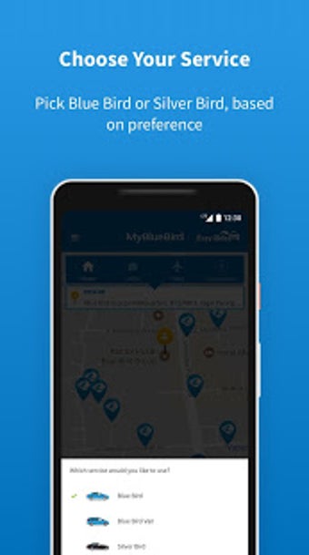 Imagen 0 para My Blue Bird