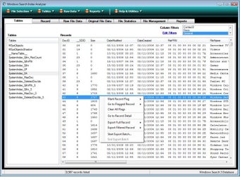 Imagen 0 para Windows Search Index Anal…