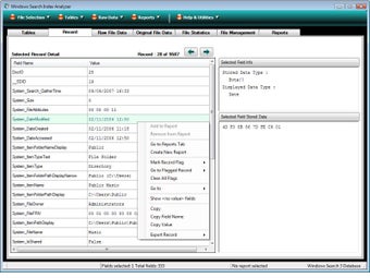 Imagen 1 para Windows Search Index Anal…