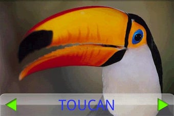 Image 0 for Toddler Tapping Zoo Pics …