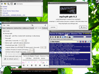 Image 2 for Mp3splt for Linux