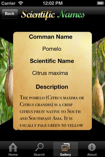 Image 3 for Scientific Names (Pocket …