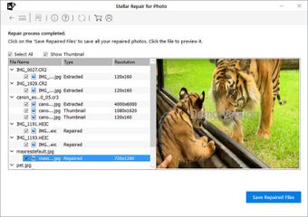 Imagen 0 para Stellar Repair for Photo