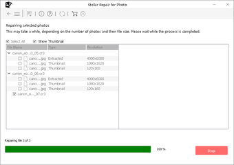 Image 0 for Stellar Repair for Photo