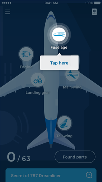 Image 3 for 787 Dreamliner Explorer