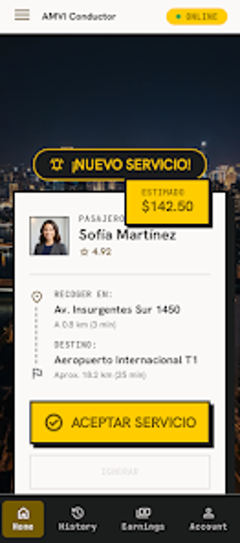 Imagen 0 para AMVI Conductor