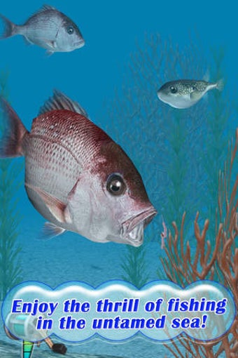 Image 0 for Reel Fishing Pocket 2 : O…