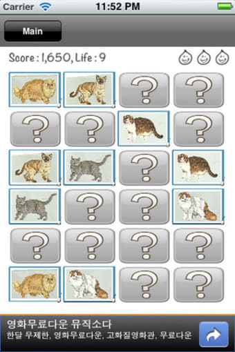Image 1 for Cat Quiz