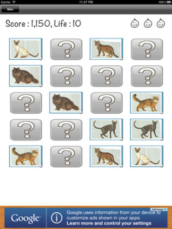 Image 7 for Cat Quiz