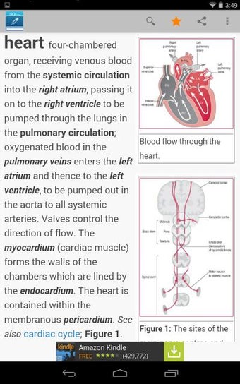 Image 0 for Nursing Dictionary by Far…