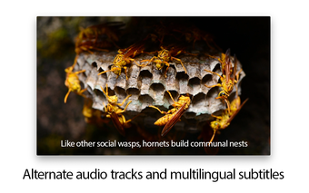 Image 2 for MKPlayer - MKV & Media Pl…