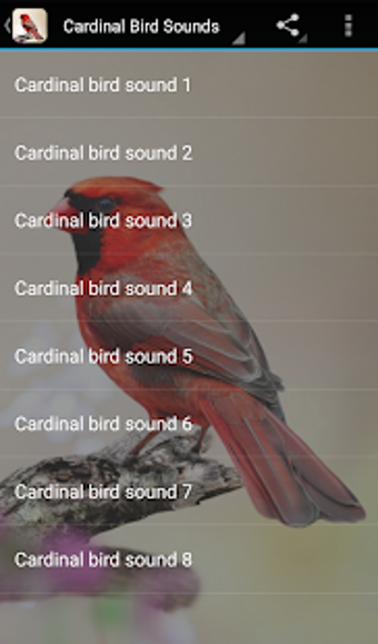Imagen 0 para Cardinal Bird Sounds