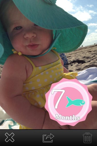 Image 0 for Baby Stickers - Monthly O…