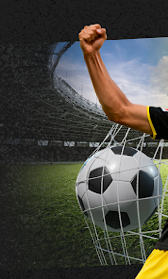 Image 0 for Fortubus