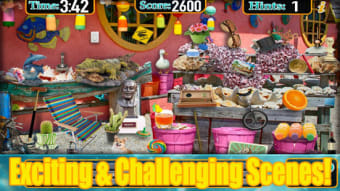 Image 2 for Hidden Objects Florida Tr…