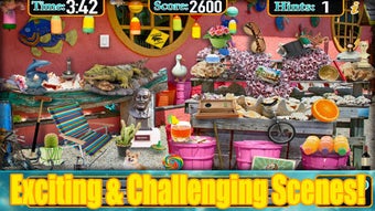 Image 1 for Hidden Objects Florida Tr…
