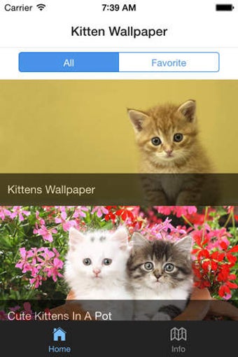 Image 0 for Cute Kittens Pictures