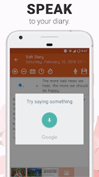 Image 0 for Diary with voice input  P…