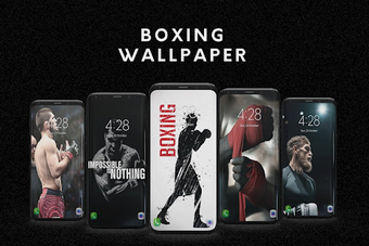Image 0 for Boxing Wallpaper