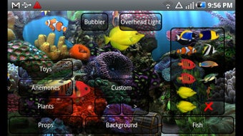 Image 0 for Aquarium Donation L. Wall…