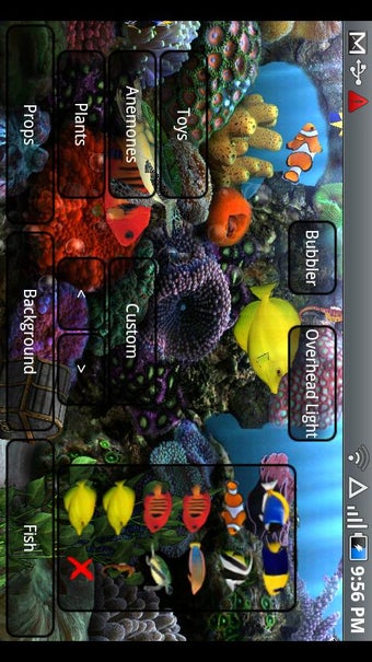 Image 4 for Aquarium Donation L. Wall…