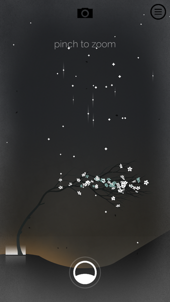 Image 1 for Prune