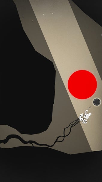Image 2 for Prune