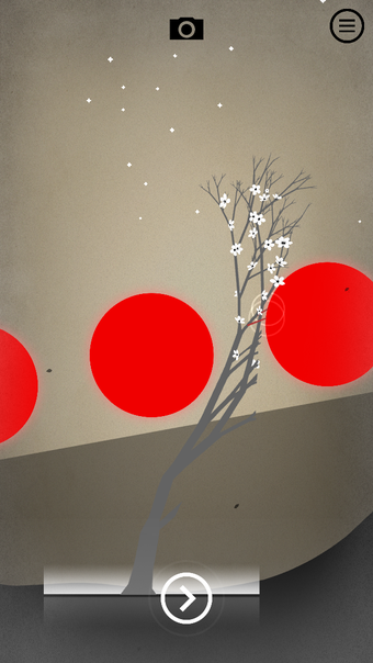 Image 2 for Prune
