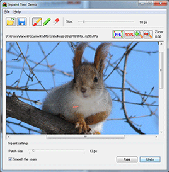 Image 0 for Inpaint Tool