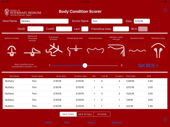Image 1 for Body Condition Scorer