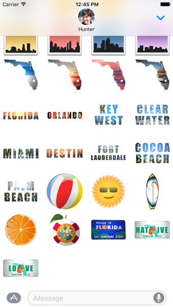 Image 1 for Florida Emoji
