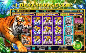 Image 1 for Slots Tiger 777 Slot Mach…