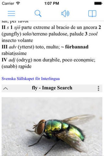 Image 0 for Swedish English Dictionar…
