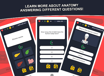 Image 0 for Anato Trivia -  Quiz on H…