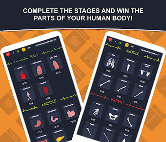Image 2 for Anato Trivia -  Quiz on H…