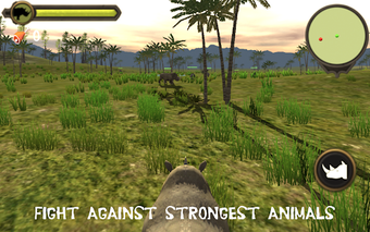 Image 2 for Rhino simulator 2019
