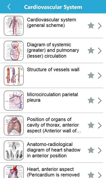 Imagen 0 para Human Anatomy Atlas for W…