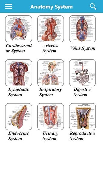 Imagen 1 para Human Anatomy Atlas for W…