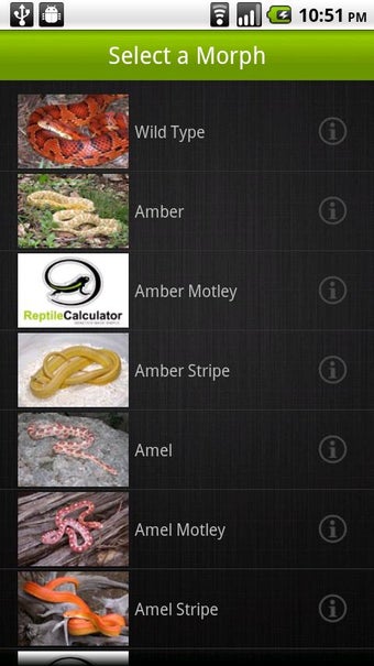 Imagen 2 para Reptile Calculator - Suit…