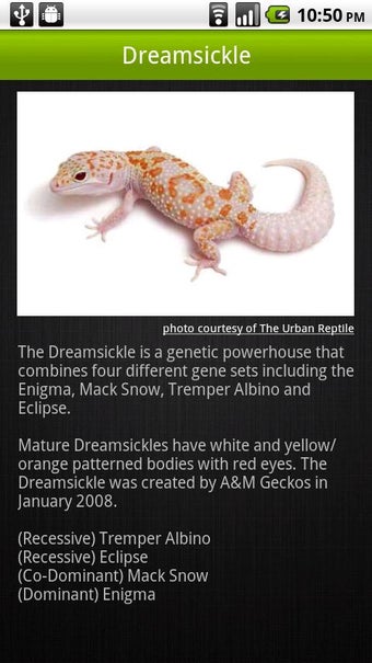 Imagen 1 para Reptile Calculator - Suit…
