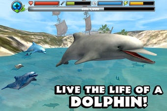 Image 0 for Dolphin Simulator