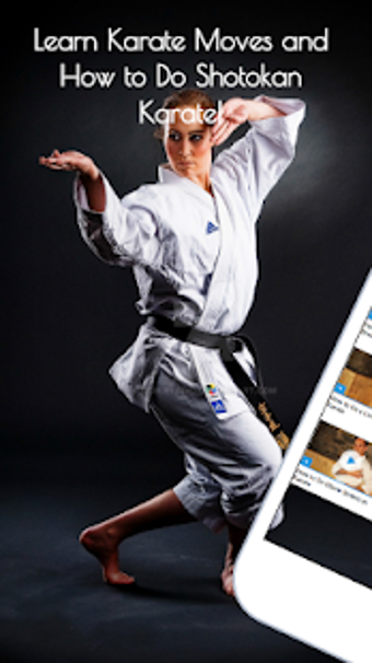 Image 0 for Karate Training