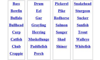 Imagen 1 para Fish ID Key - U.S. Freshw…