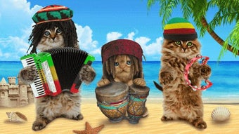 Image 0 for Funny cats. Funny dogs.