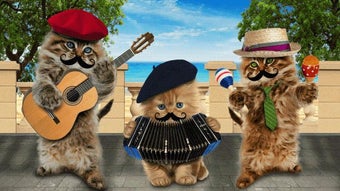Image 1 for Funny cats. Funny dogs.