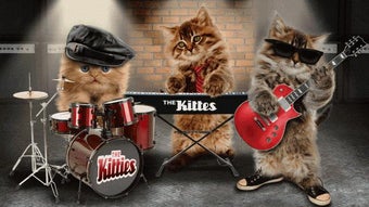 Image 2 for Funny cats. Funny dogs.