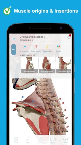 Image 3 for Human Anatomy Atlas 2019:…