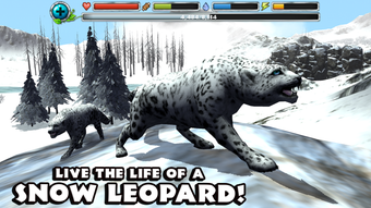Image 0 for Snow Leopard Simulator