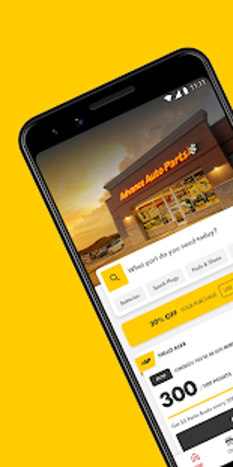 Imagen 0 para Advance Auto Parts