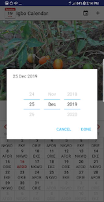 Imagen 0 para Igbo Calendar